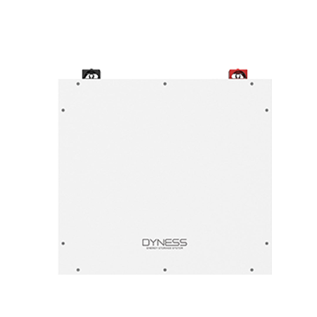 DYNESS DL5.0C Low voltage battery LiFePO4 5.12 kWh 100 Ah 51.2V IP20