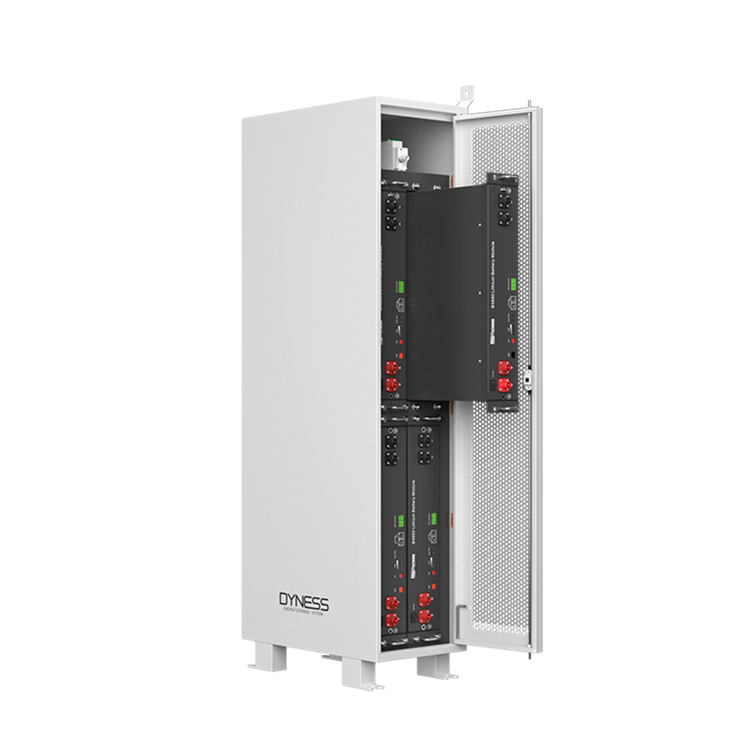 The LV Dyness B4850G battery